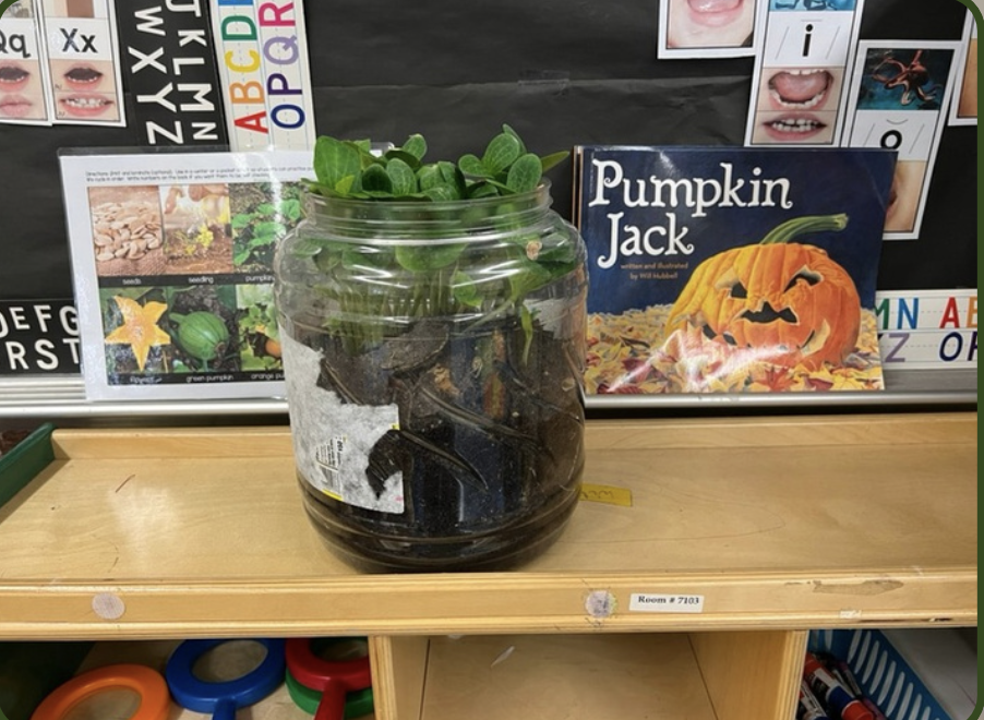 Two SP Livingston Classrooms Recognized for Bringing Nature Into Daily Learning