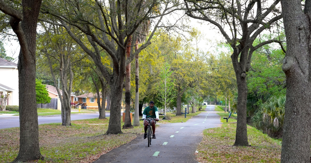 Tree Canopy Initiative Moves Forward in Two Jacksonville Neighborhoods