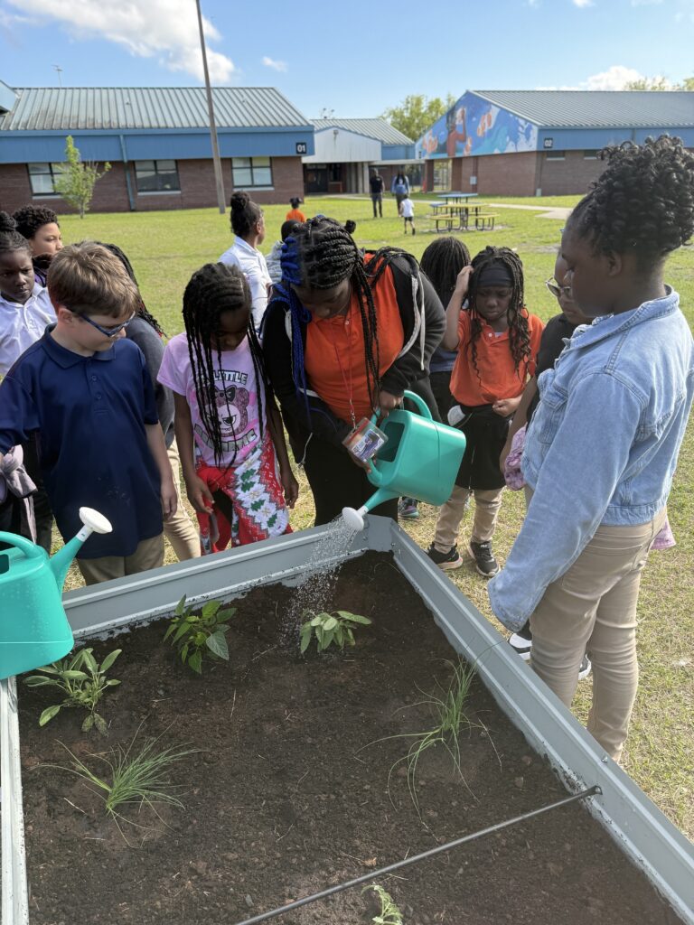 Students at SP Livingston planting in one of their new garden beds.